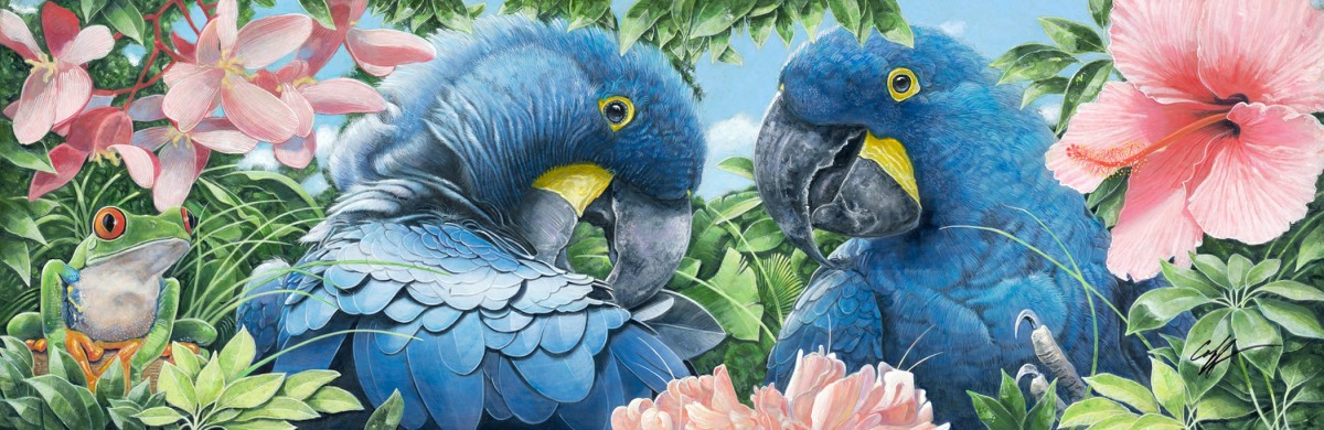 Blue Hyacinth Macaws