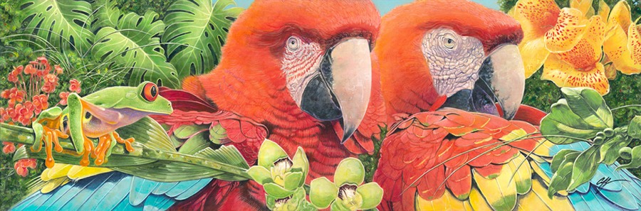 Scarlet Macaws